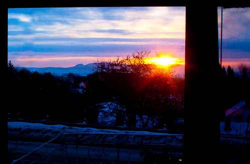 morning winter window sunrise wednesday dawn windowview groundhogday windowwednesdays