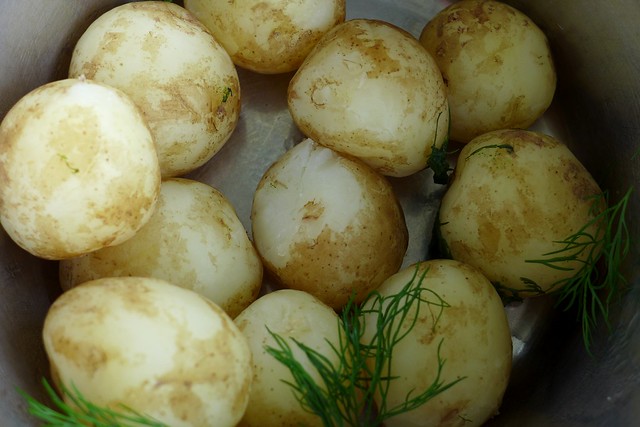A scent that triggers memories of Eastern European meals is dill, boiled potatoes and cabbage rolls. 