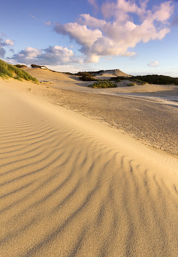 netherlands sand dunes nederland urbannature ripples duinen thehague pristine kijkduin triffids zuidhollandslandschap westduinpark canonefs1022 haguethe westdunepark
