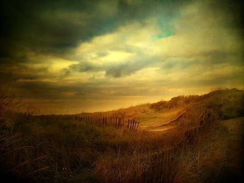 holland netherlands dutch fence landscape dunes egmondaanzee saariysqualitypictures daarklands magicunicornmasterpiece neferland