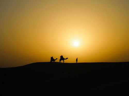 sunset india desert camel jaisalmer rajasthan