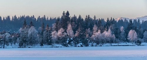 schnee winter mist lake snow sunrise frost sonnenaufgang wetter dunst kirchsee