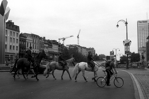 Horses & Bikes on the streets