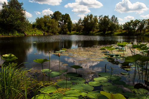 nature landscape nikon nikond90