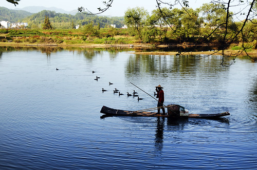 life china reflection tree bird rural river cormorants countryside boat fisherman country raft wuyuan jiangxi 江西 婺源 鸕鶿 月亮灣 melindachan