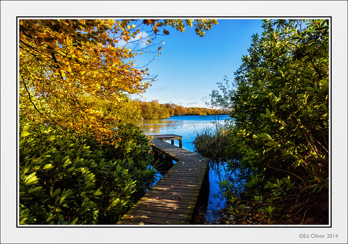 autumn northumberland bolamlake canonef24105mmf4lis