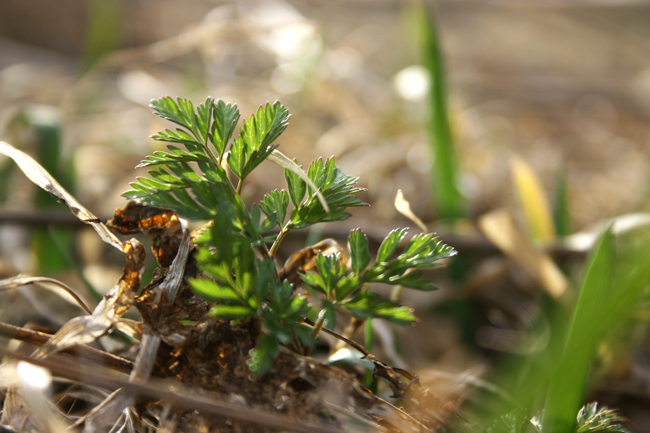 at-grassroots-level-jere-viinikainen