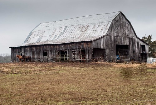 old barns oldbuildings explore weathered farms nikond60 backroadphotography leecountyva kjerrellimges