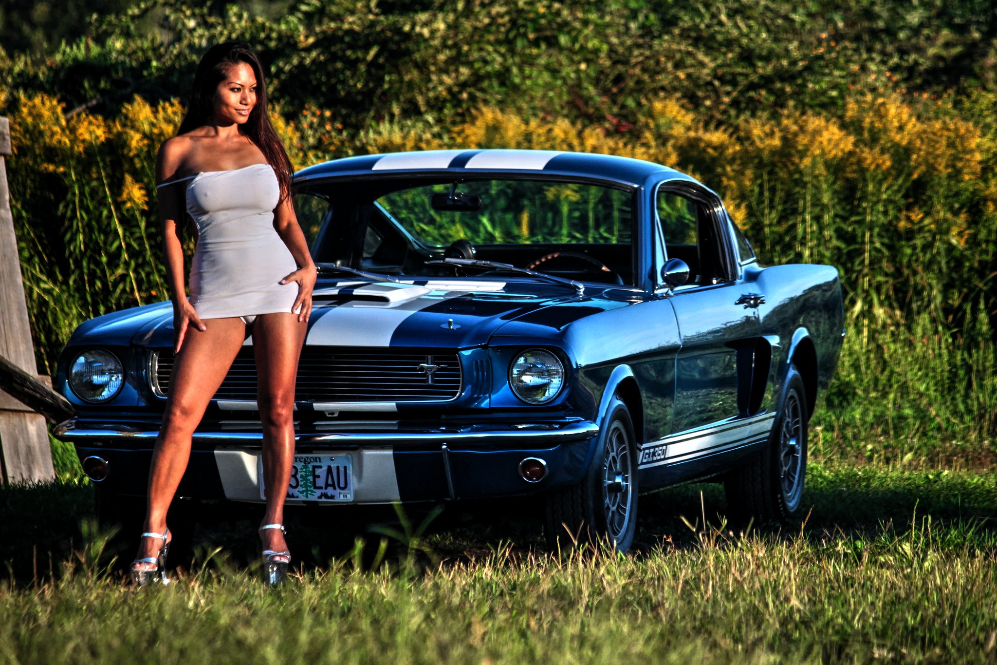 Stang Beauties Compilation Mustang Shelby GT350 1966 And Girls.