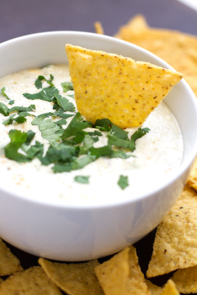 5 Ingredient Slow Cooker Queso Dip - Toss is all in and sit back because this dip is going to make itself! #queso #quesoblanco #slowcooker #crockpot #salsaverde | littlespicejar.com