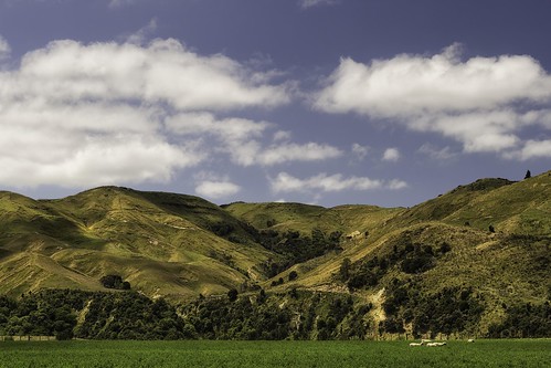 newzealand landscapes hawkesbay canoneos6d sherenden lowerflagrangeroad