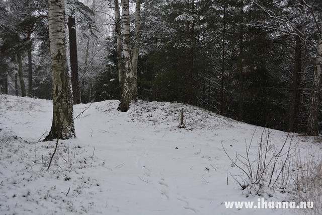 Snowy Pathway