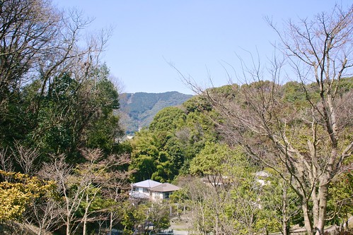 trees japan town asia view hills 日本 fukuoka kyushu 九州 福岡 dazaifu 太宰府