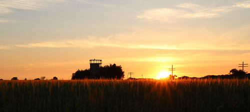 sunset outdoor crops