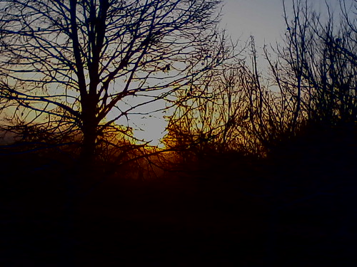 sunrise essex colchester