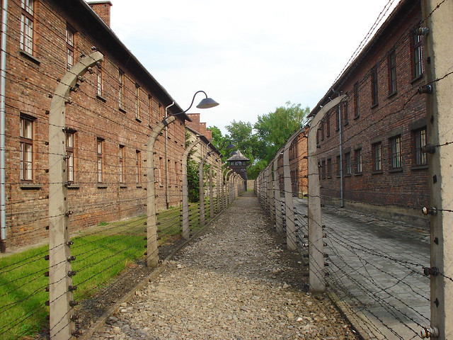4. Auschwitz & Birkenau