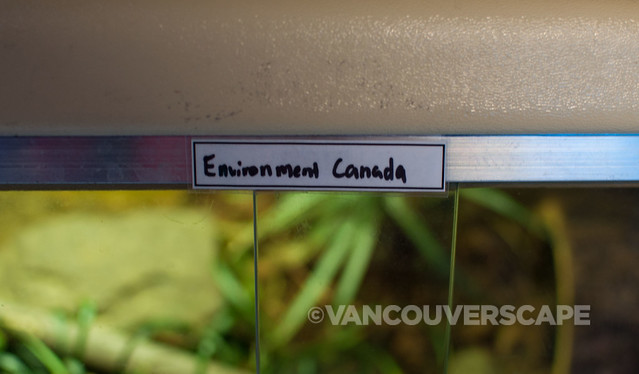 Vancouver Aquarium Up Close-10