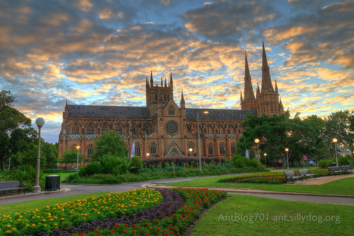 cathedral sydney australia nsw stmarys