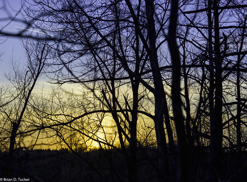 trees sunset ontario canada silhouette evening greenwood ajax eveninglight d600 greenwoodconservationarea briandtucker