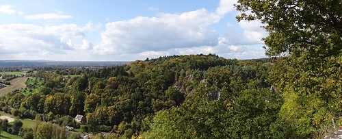 france tree landscape normandie paysage arbre domfront orne