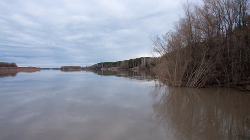 river landscape russia irtysh omskayaoblast