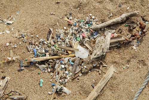 撿不完的塑膠碎片。圖片來源：環境資訊協會