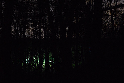 joshbeavers distant light trees emanate creepy woods dumbphoto night time hatred stock stockphotography image sale sell purchase copyright singleuse