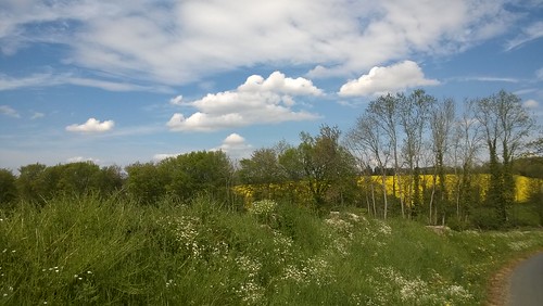 sky cloud france yellow jaune landscape ciel normandie nuage paysage calvados rapeseed colza maisoncellespelvey