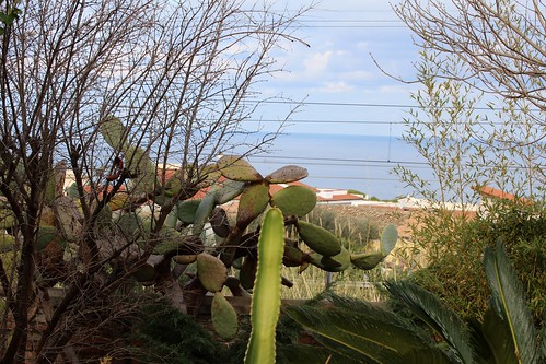 italy europe calabria vibovalentia eleanora parghelia villinoeleanora