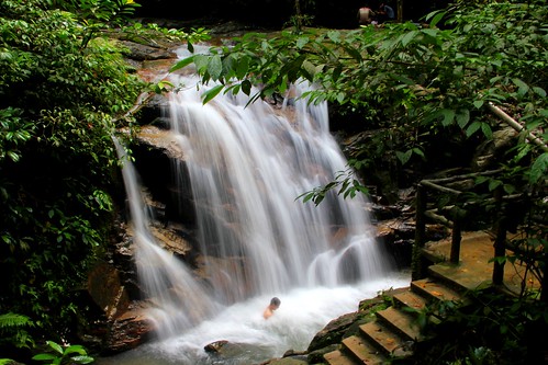 forest waterfall natural malaysia