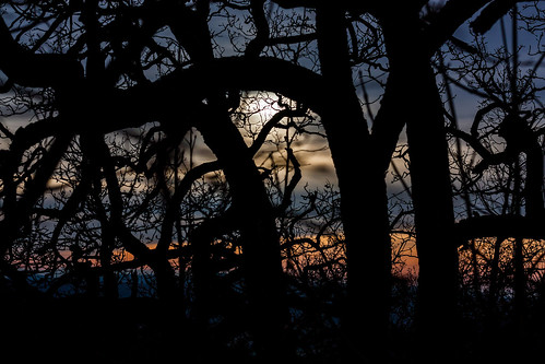 trees light sunset sun nature night clouds dark republic colours czech