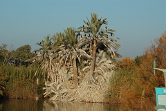 Ein Afeq Nature Reserve שמורת טבע עין אפק