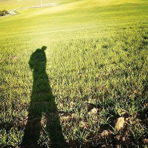 shadow sun sol field square lofi sombra toledo squareformat campo gigante barrancas caminante gigant instagramapp uploaded:by=instagram foursquare:venue=4d8619ff5e70224b03732f09