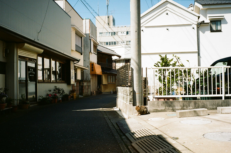Platto Misaki(Kanagawa) 8,March
