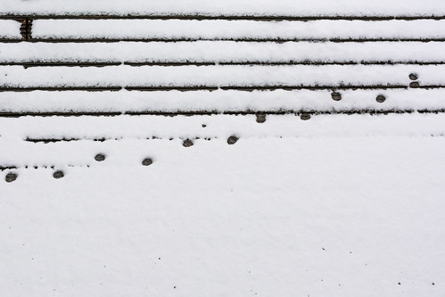 schnee snow tones catprints noten codec katzenspuren unsergarten 35f18 rainer❏