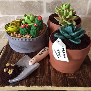 Cactus Planters by Corry Pambuko of Corry's Handmade Home Baking