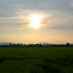 petchaburi-rice-field-sunse
