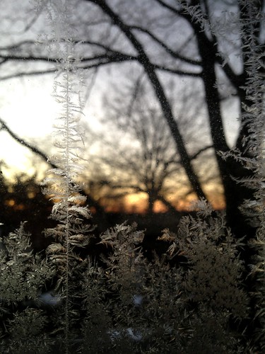 frosty sunrise