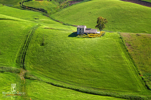 verde green landscape country campagna sicily sicilia paesaggio rurale caltanissetta sicilianità walterlocascio turolifi
