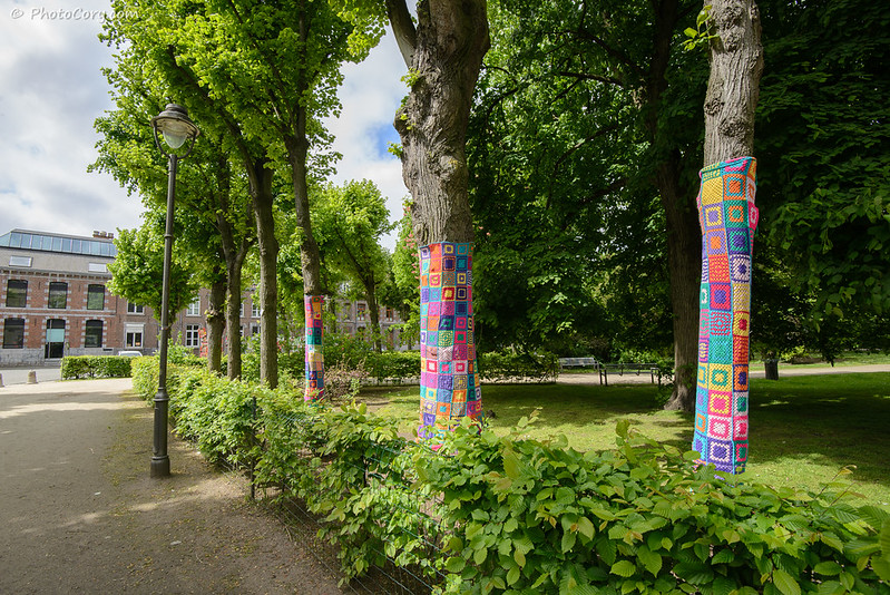 trees with knitted covers