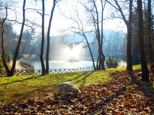autumn winter lake tree nature water fountain leaves rock leaf sprinkles environment