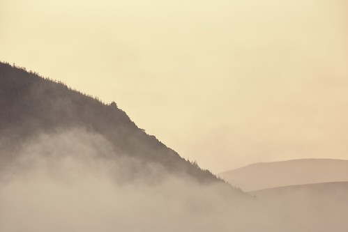 morning mist tree fog sunrise canon dawn scenery scenic hills 300mm thelakedistrict bassenthwaitelake 5dmk3