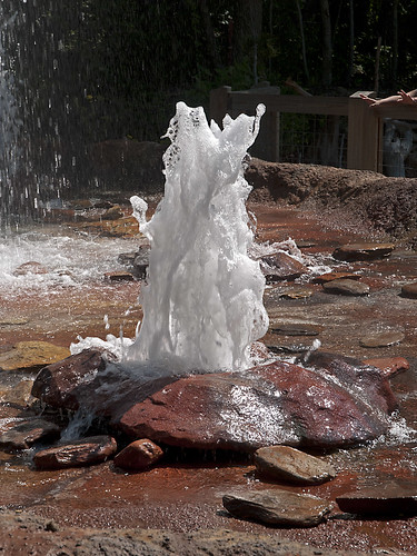 fountain zoo nc northcarolina geyser prarie asheboro northcarolinazoo