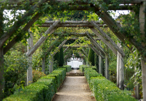uk roses fountain garden frames arch view path seat 7 arches hampshire september hedge vista nationaltrust stevemaskell mottisfont hants 2013 113in2013 archorarchway