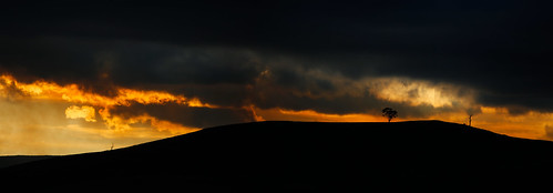 sunset sky cloud tree clouds landscape golden glow smoke hill tasmania hillside bushfire oatlands