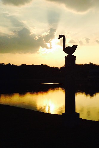 sunset lake garden swan sarawak malaysia sibu sillouete iphone lakegraden
