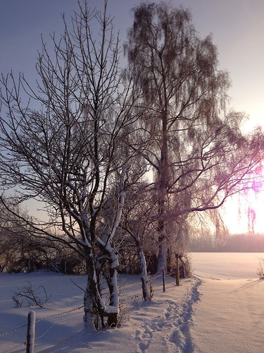 morning winter snow sunrise dusk sunny snowworld kaufbeuren