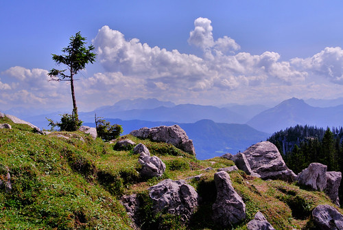 mountains tree clouds bayern bavaria rocks wolken berge kati baum felsen kampenwand nikon1v1