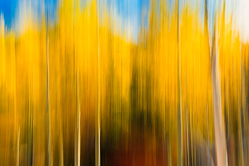 autumn trees abstract blur fall leaves yellow digital landscape golden utah movement nikon colorful motionblur aspens d800 bigcottonwoodcanyon wasatchmountains