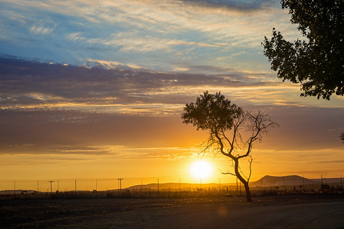 sunset sky sun tree clouds landscape southafrica evening nikon colorful pretty view cloudy johannesburg lionpark d4